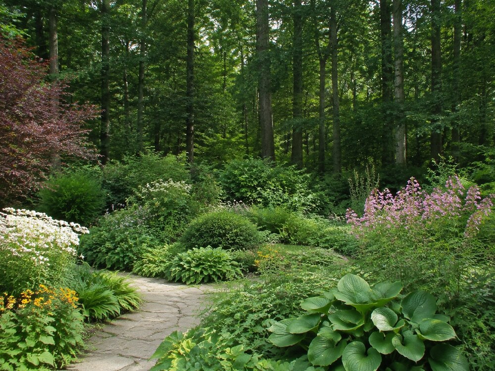 Naturnah gestalteter Garten am Waldrand mit Staudenbeeten und Natursteinweg